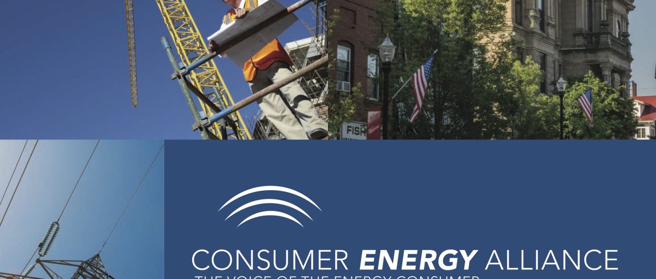 2013_CEA_Annual_Report__v2_lowres