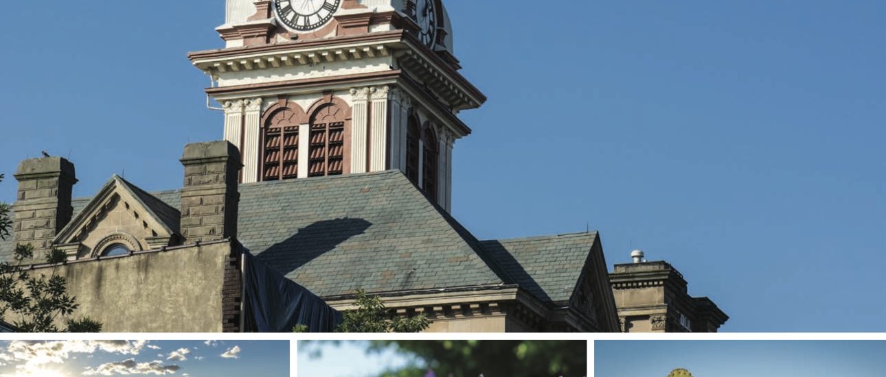 2015 CEA-Annual-Report-Web