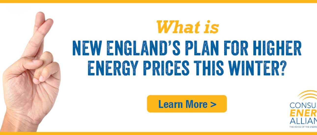 With some of the highest electricity prices in the nation, what is New England's plan this winter?