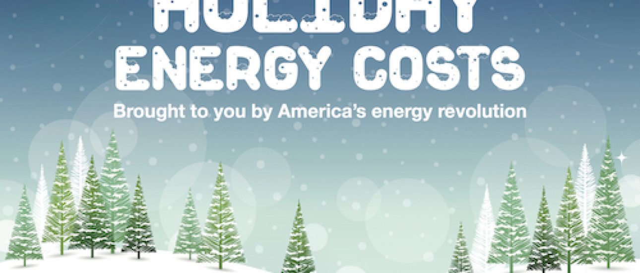 CEA_Holiday_Infographic_120715 small