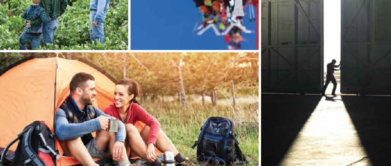 CEA 2017 Annual Report