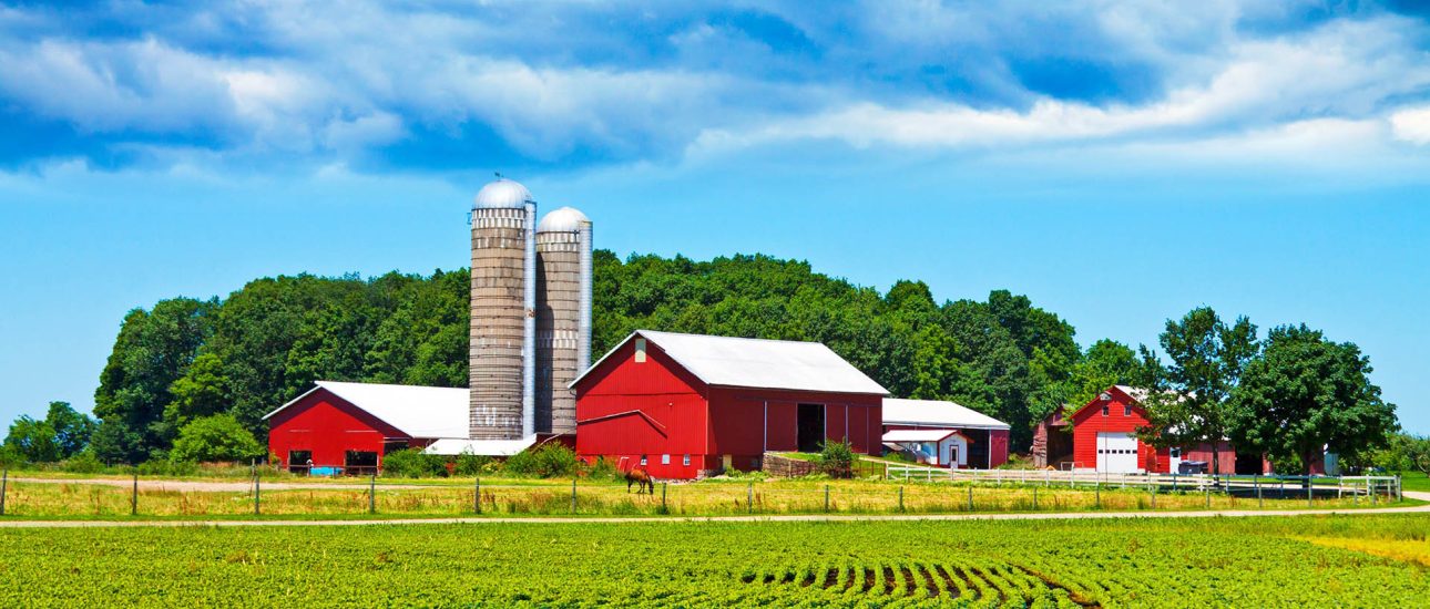 Farm in the Country
