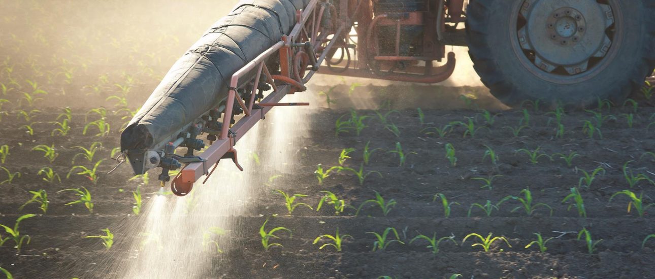 Tractor fertilizes crops corn in spring