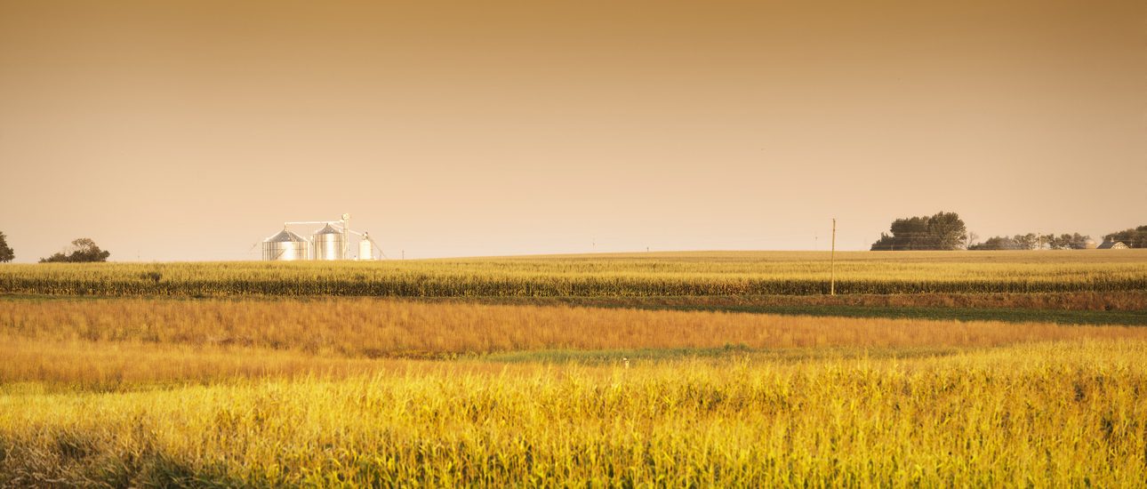 Midwest corn field and grain silos