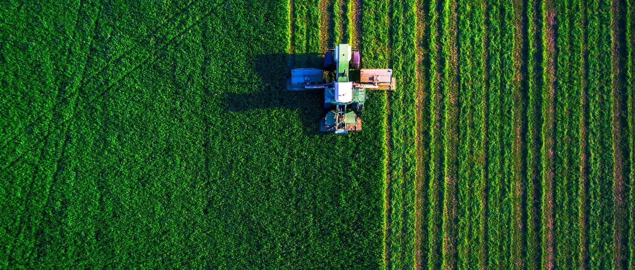 Tractor mowing green field