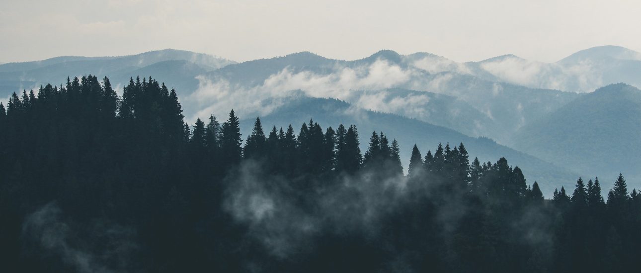 Clouds Over Mountain Forest