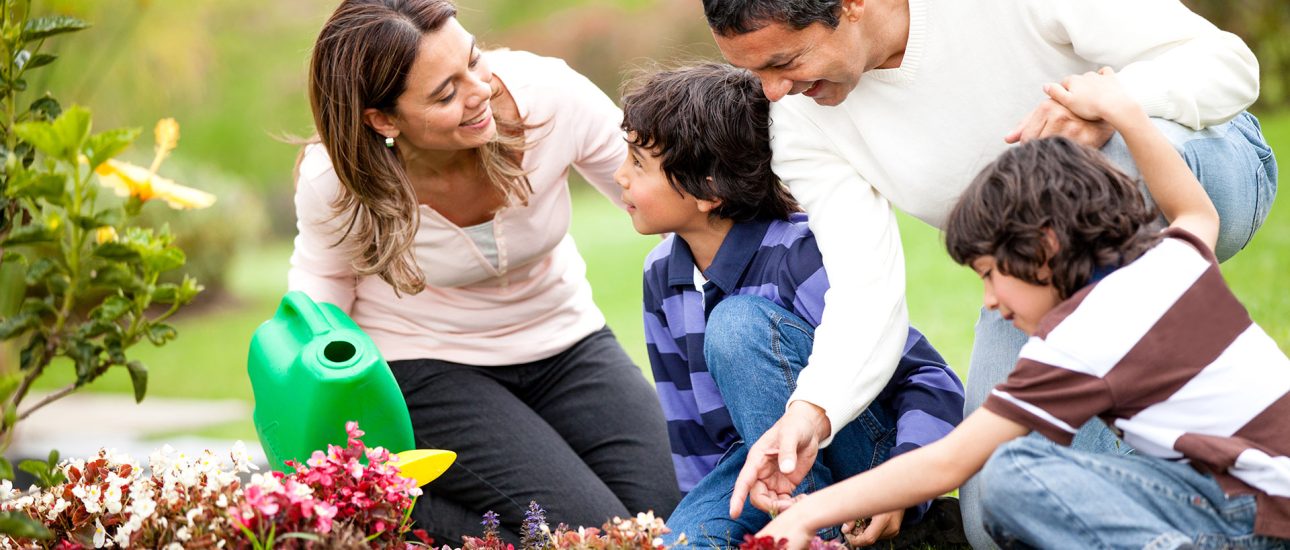 Family gardening