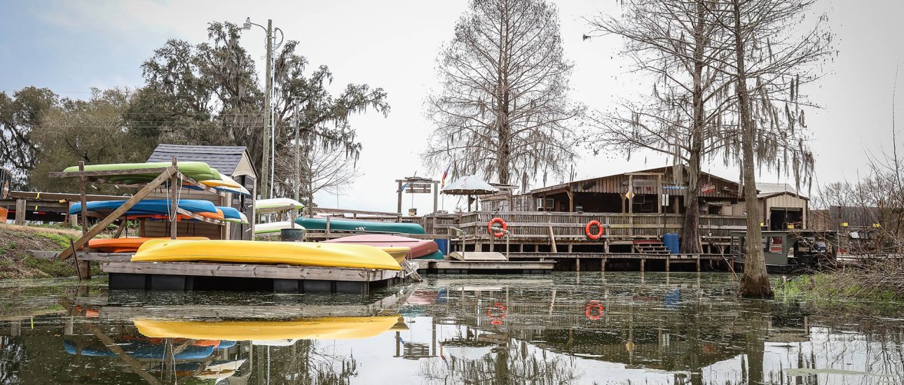 Louisiana bayou tours