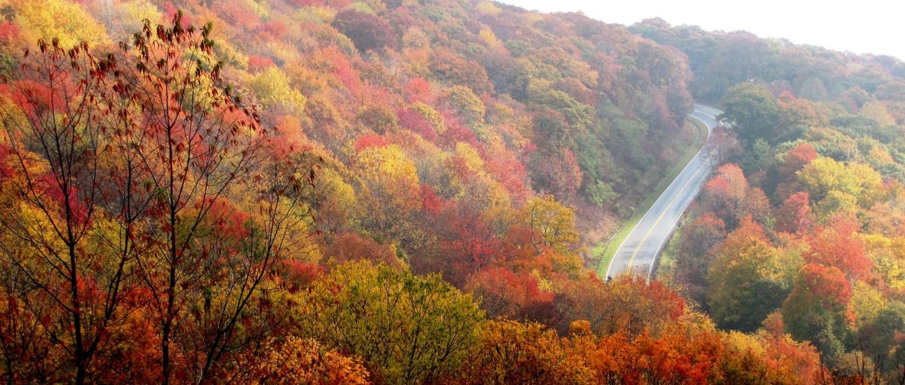 North Carolina Mountains