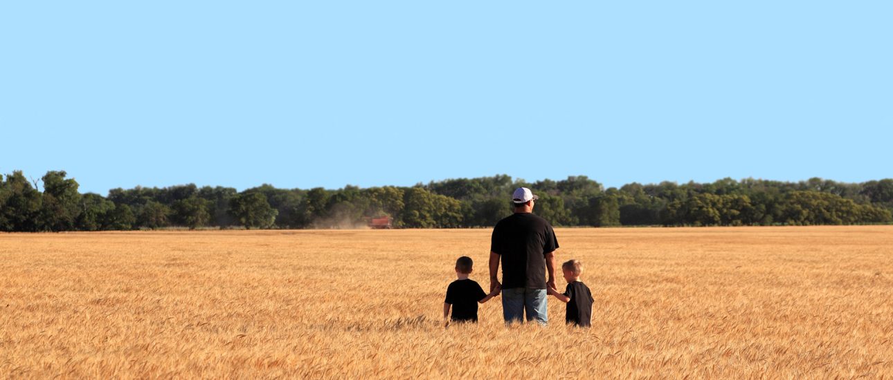 Agriculture: Father and Twin Sons in Wheat Field During Harvest