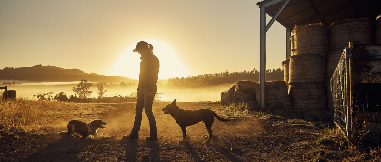 Farmers rise with the sun