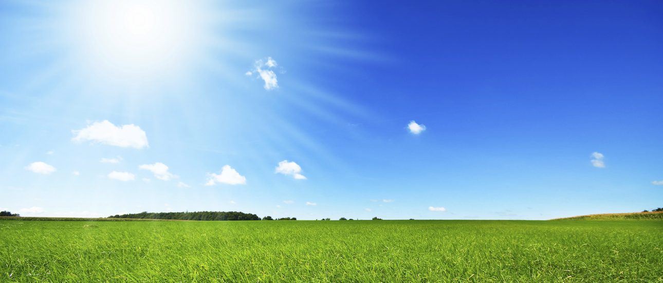 summer-sun-field